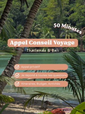 THAILANDE BALI APPEL CONSEIL VOYAGE 50 MIN (1)