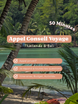 Appel Conseil Thaïlande ou Bali 50min