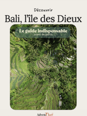 Ebook Bali Gratuit