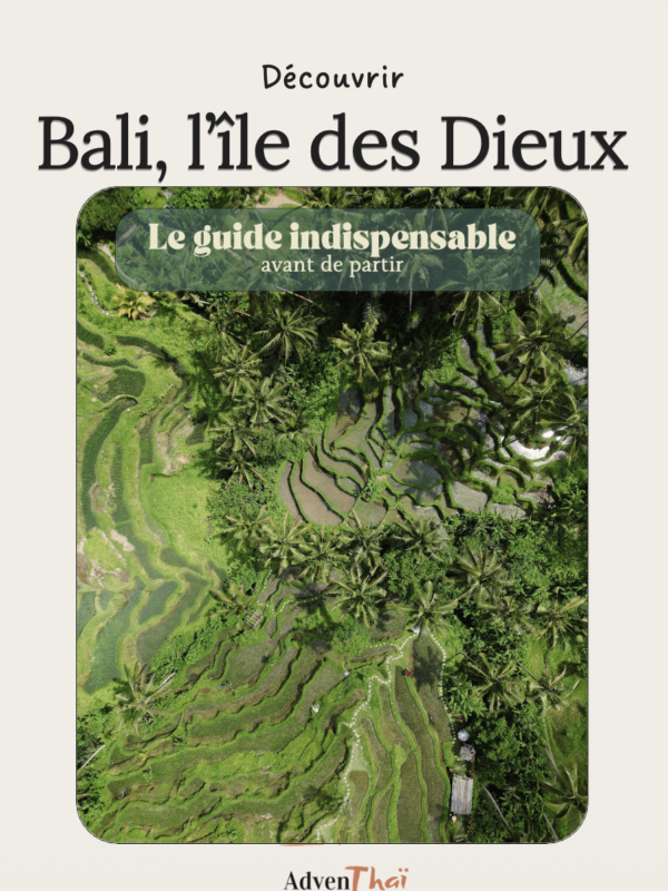 Ebook Bali Gratuit